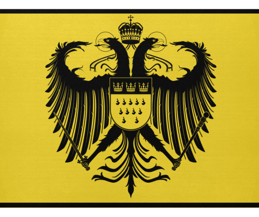 Kölner Wappen mit Adler in Schwarz auf Fußmatte – Bild 6